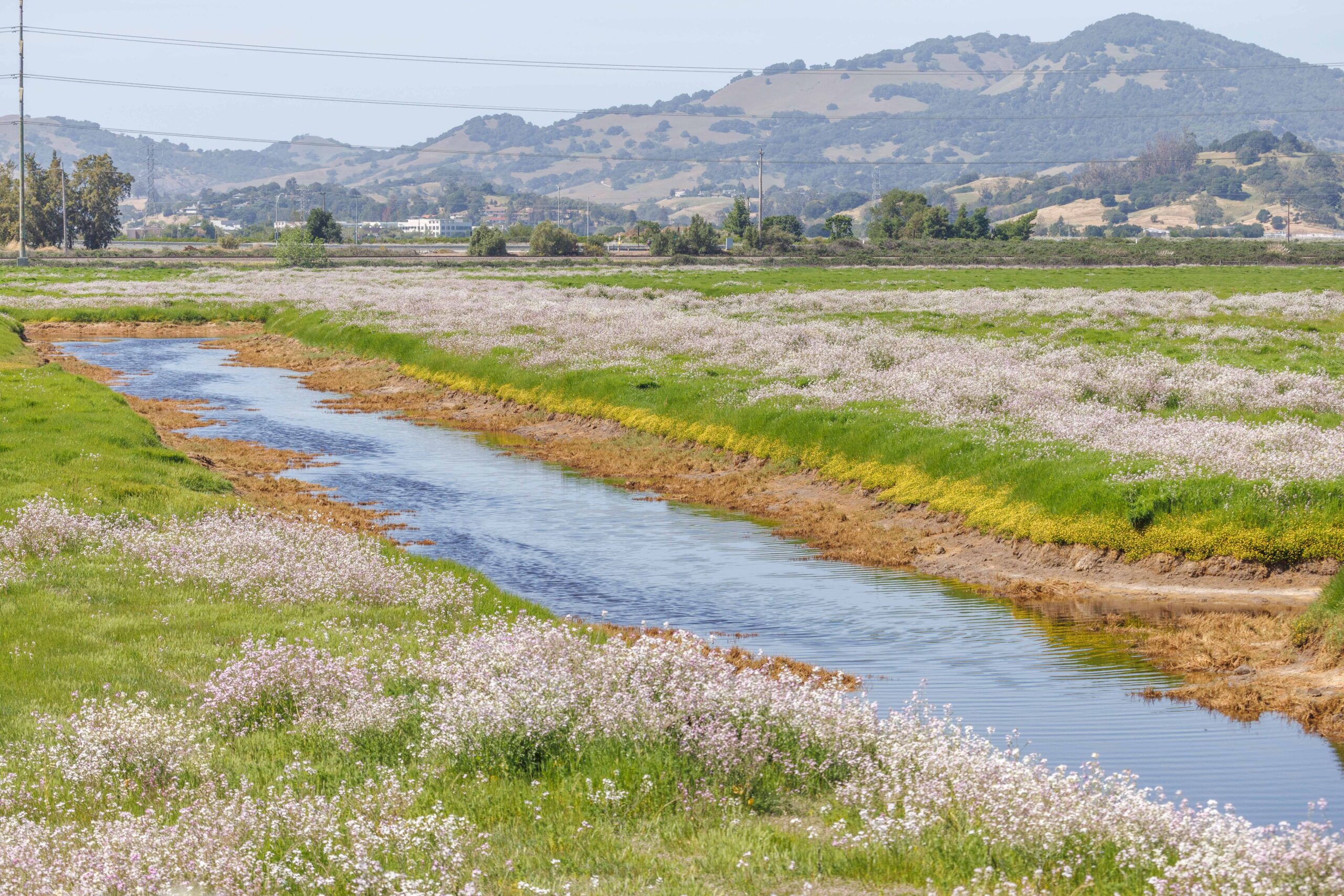 A tranquil river meandering through a lush meadow with distant rolling hills under a clear sky.